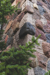 branch of green fir on the background of the huge stone walls © Serhii Bukovskyi