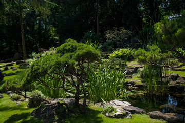 Beautiful and well-kept small green garden.