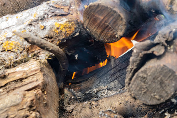 firewood burning on a brazier brazier, fire, coals, background