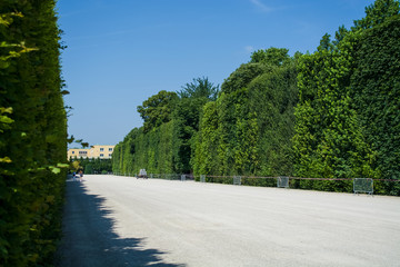 Fototapeta premium Beautiful and wide footpaths among greens and a decor in the park in the summer. Garden. Wood.