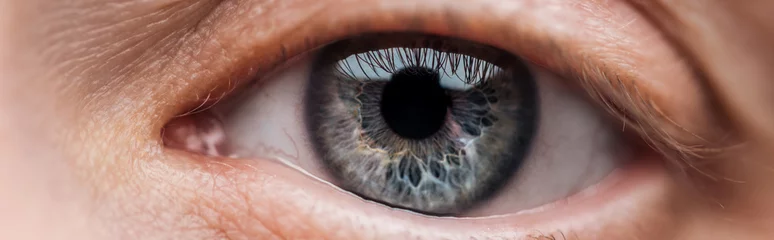 Foto op Aluminium close-up van menselijk blauw oog kijkend naar camera, panoramische opname © LIGHTFIELD STUDIOS