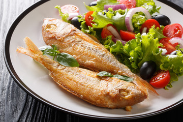 Freshly cooked pink dorado fish with lemon and vegetable salad close-up on a plate. horizontal