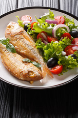 Tasty fried pink dorado or gilt-head bream fish with vegetable salad close-up on a plate. vertical