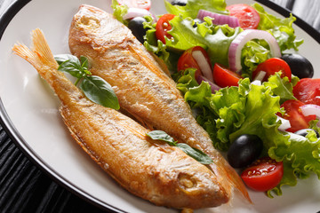 Delicious fried pink dorado with lemon and fresh vegetable salad close-up on a plate. horizontal