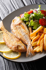 Fried pink dorado fish served with french fries and vegetable salad close-up on a plate on the table. vertical