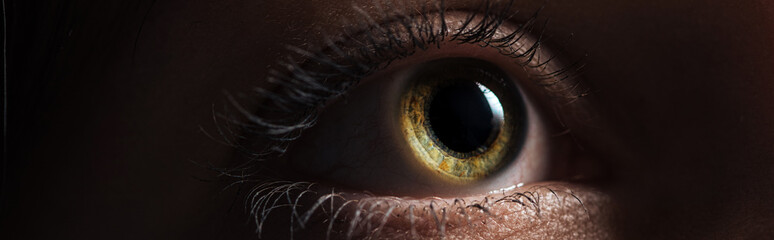 close up view of human bright eye looking away in dark, panoramic shot