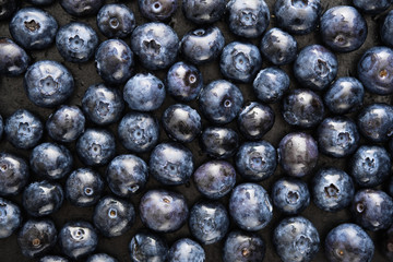 Close-up of ripe and juicy fresh picked blueberries.