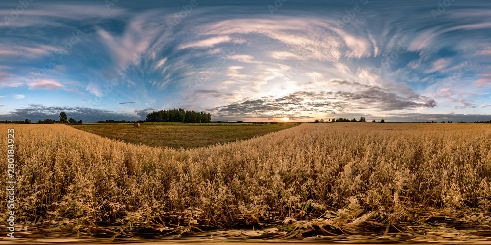Wall mural full seamless spherical hdri panorama 360 degrees angle view among oats fields in summer evening sun