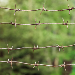 Rusty barbed wires stretched between wooden posts with blurred tree leaves on the background
