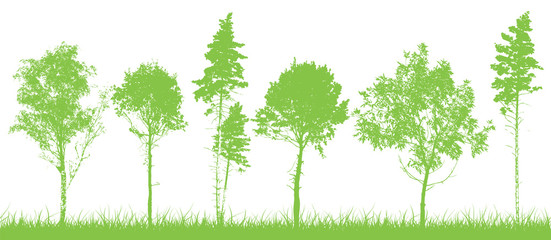 Background trees silhouettes. Vector illustration
