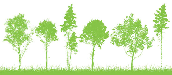 Obraz premium Background trees silhouettes. Vector illustration