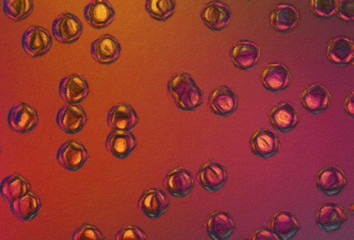 Psychedelic visual art abstract design pattern background, good for decorate banner, flyer, textile and fabric, canvas and paper print, craft hand drawn texture template, surreal form in bright colors