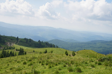 Fototapeta premium nature landscape