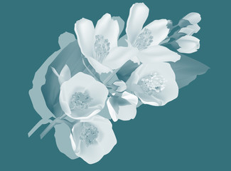 Fototapeta na wymiar jasmine flower branch cyan illustration