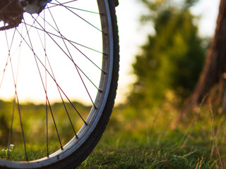Close-up of old Bicycle wheel on summer nature background at sunset