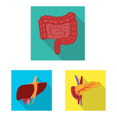 Vector illustration of human and health logo. Set of human and scientific vector icon for stock.