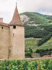 Aigle Castle, Switzerland. Castle is situated in the middle of vineyards in Canton Vaud in Siwtzerland