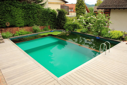 Schwimmteich