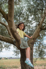 Child girl climbing on a olive tree