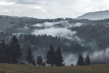 morning in the mountains