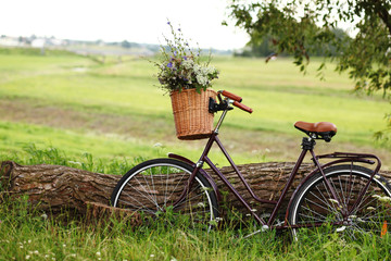 Fototapeta na wymiar a bicycle with a bouquet of yellow flowers in a basket against nature background