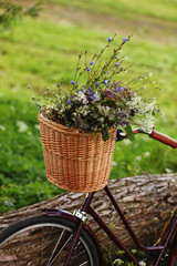 a bicycle with a bouquet of yellow flowers in a basket against nature background