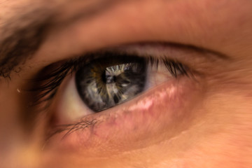 close up of female eye