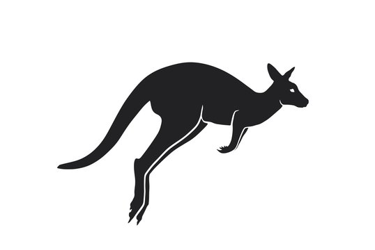 kangaroo silhouette side view. isolated vector image of Australian wild animal