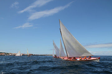 Obraz premium Regatta 08