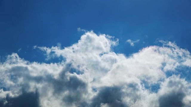 Timelapse shot of the blue sky with clouds and the bird, 4K