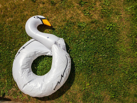 partially deflated swan floating toy, shot from above