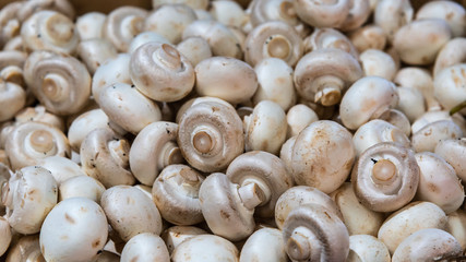 A heap of raw and unwashed mushrooms