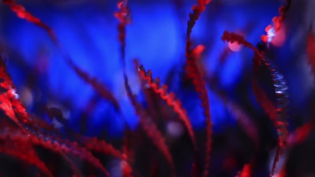 Extreme Close Up Of Red Metal Shavings On Blue Background.
