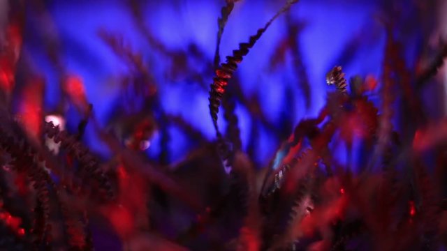 Extreme Close Up Of Red Metal Shavings On Purple Background.