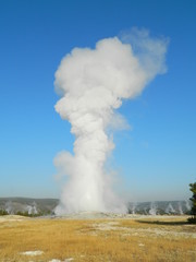 Yellowstone National Park 03