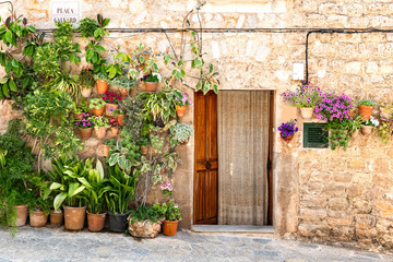 Fototapeta na wymiar Mallorca - Potted flowers on a house wall in Valldemossa