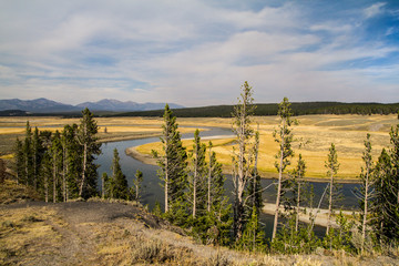 Obraz premium Yellowstone National Park 56