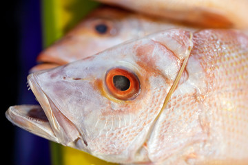 Fresh red snapper fish at weekly street market