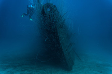 USS pilotfish