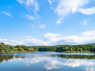 view of lake in forest in calm summer evening