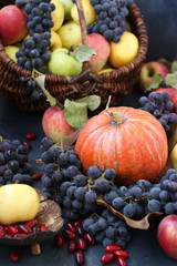 Autumn composition with apples, grapes, pumpkin and dogwood located on a dark background, Autumn harvest, vertical photo