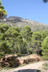 Obraz premium Spanish Landscape
