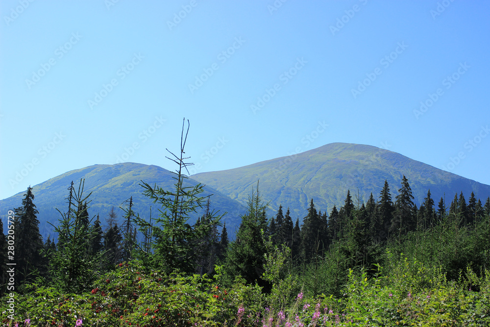 Wall mural view of two mountains, one higher relative to the other, morning hike in the mountains in august.