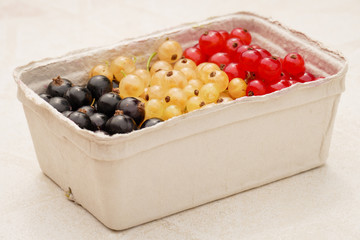 Belgian Berries in Box on Table