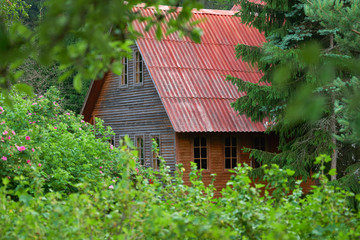 Сountry house with a red roof buried in the foliage of trees in summer
