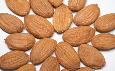 apricot kernels on a white background close-up. kernels filled with vitamins and minerals