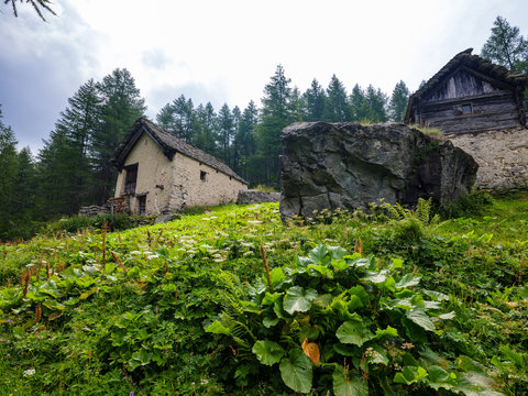Mountain retreat in the forest