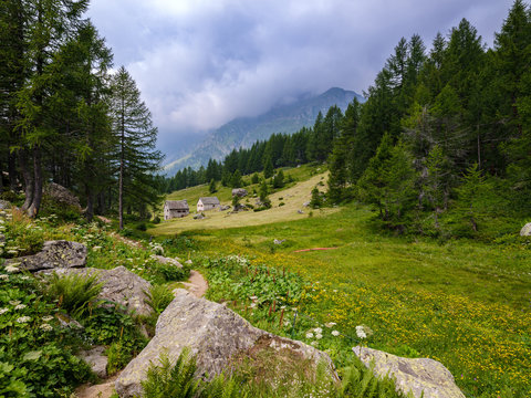 Mountain retreat in the forest