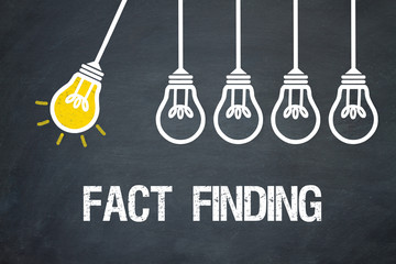 Fototapeta premium Fact finding