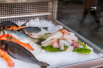 Frozen see food on ice